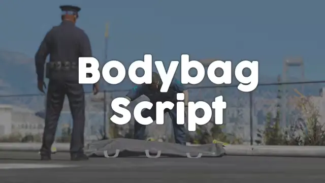 Bodybag Script - Tebex