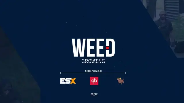 Master Weed Growing: Build Your Cannabis Empire