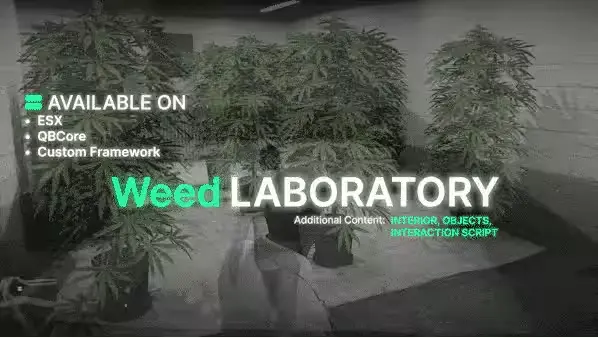 Optimize Your Weed Growing System: Cleaning Tips