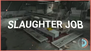 Real Processing Slaughter House Job Script video thumbnail