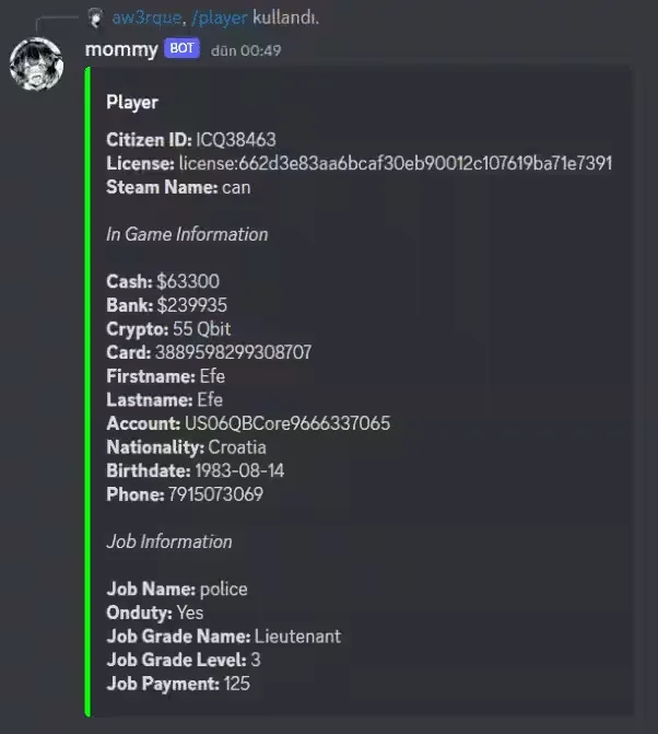 Manage Servers with FiveM Discord Bot - preview screenshot