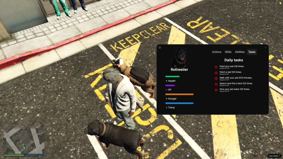 FiveM Pet System - feature detail